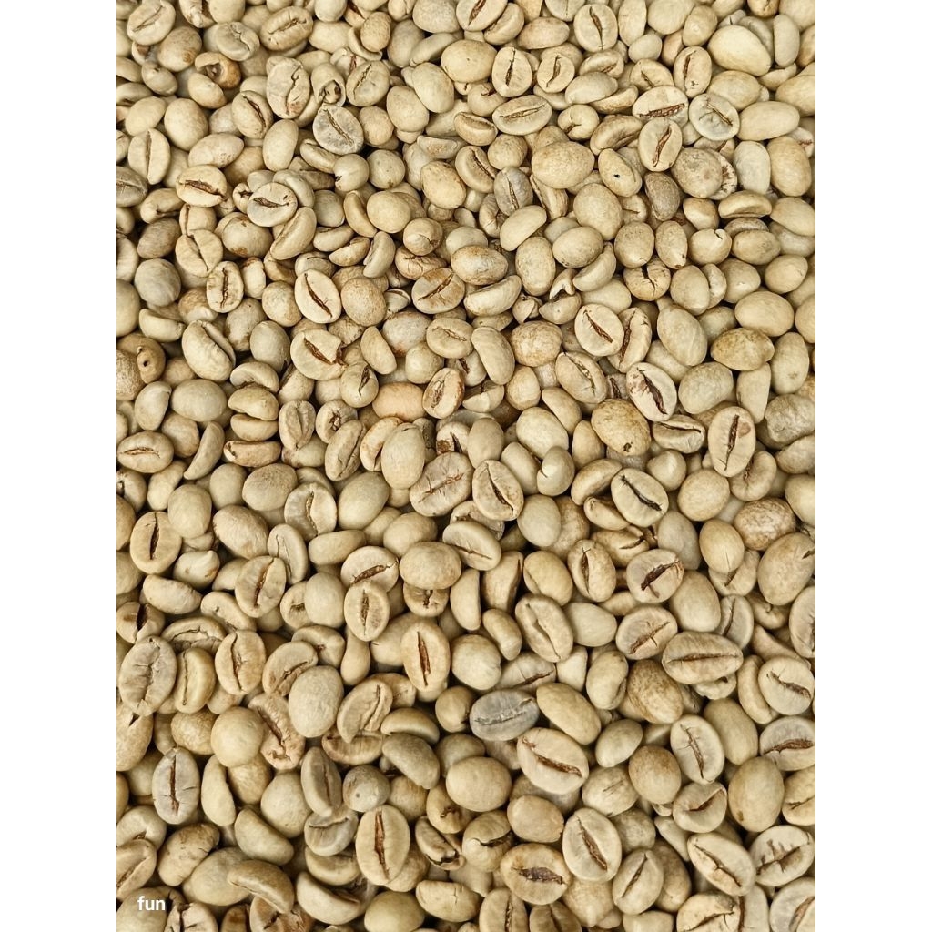 

biji kopi mentah robusta selep wbb/grade -1 berat bersih 1 kg