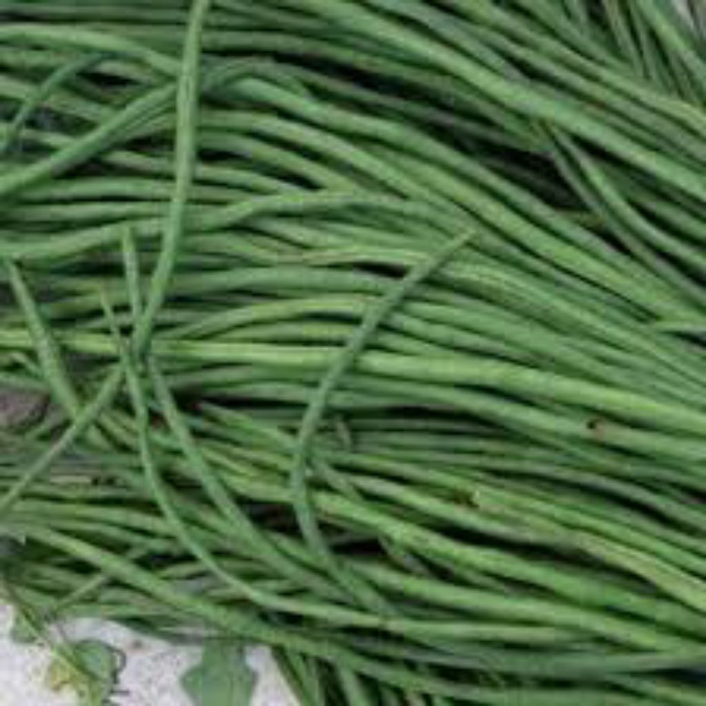 

kc panjang 1 kg