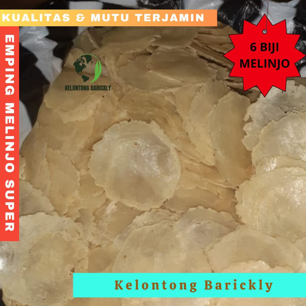 EMPING MELINJO SUPER EMPING MELINJO MENTAH SUPER BESAR SUPER JUMBO / EMPING MLINJO BESAR 4 BIJI