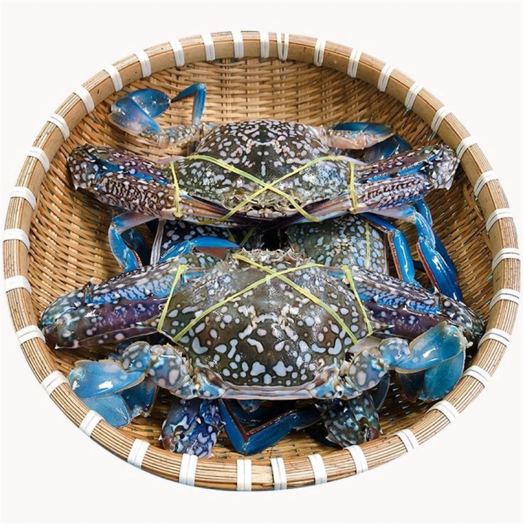 

Rajungan / blue crab kepiting fresh 1Kg