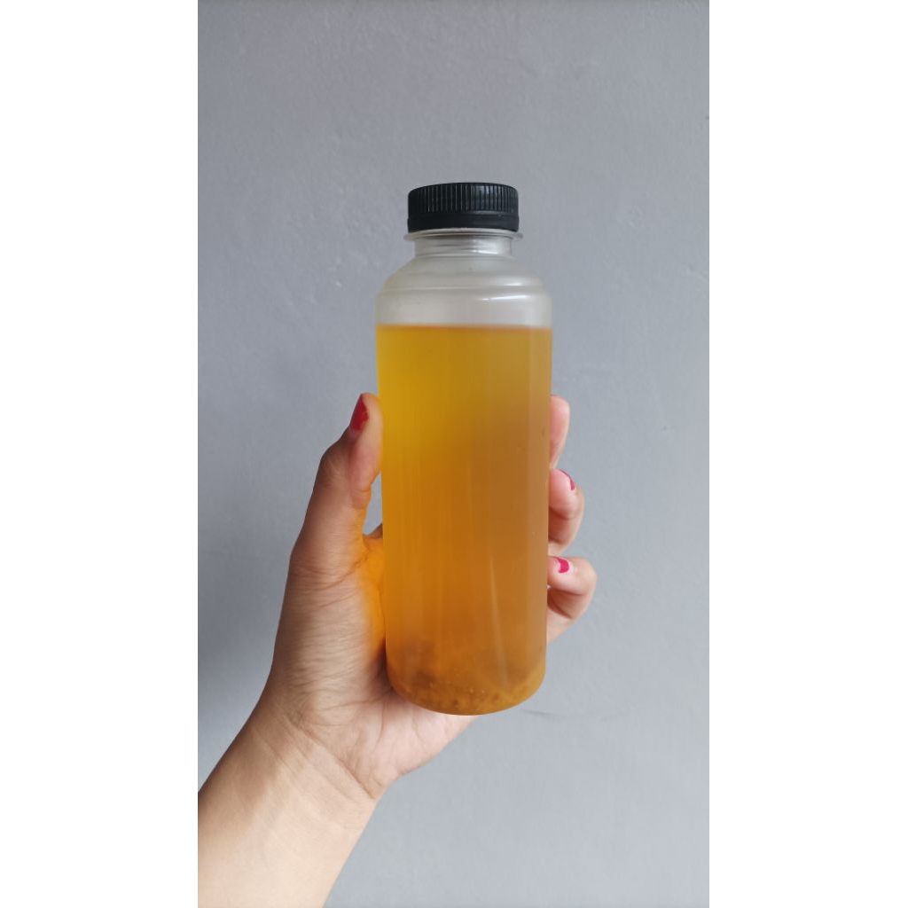 

kombucha / starter / scoby kombucha