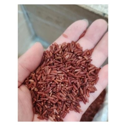 

BERAS MERAH KOKOKU - REPACK - KOKOKU ORGANIC RED RICE