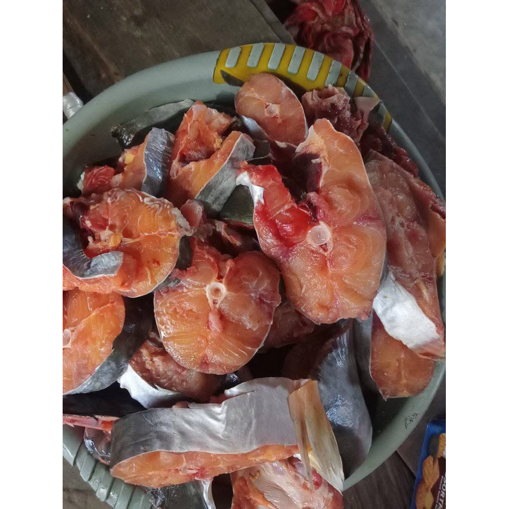 

ikan patin / fatin / ikan dori utuh/potongan