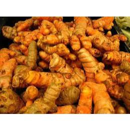 

Kunyit Fresh 1 kg Harga Grosir