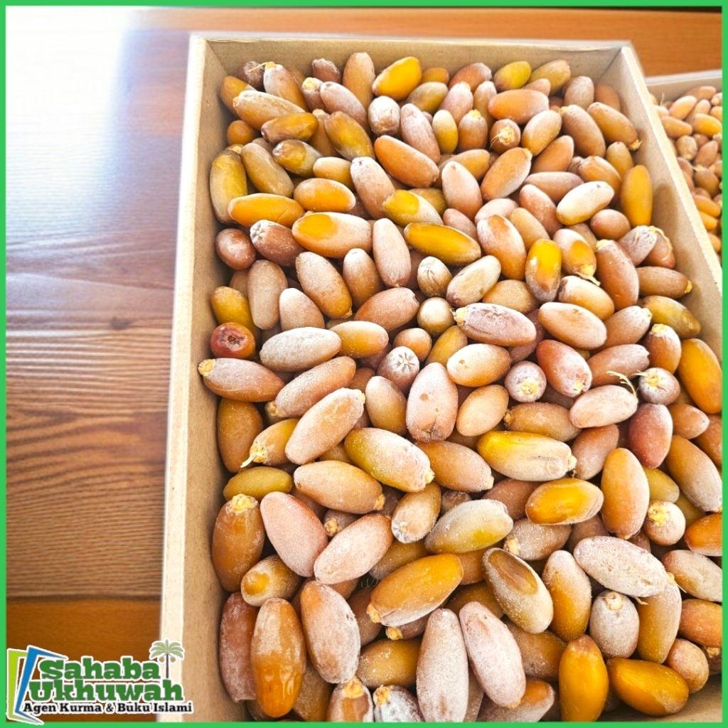 

kurma Ruthob Libya Murah