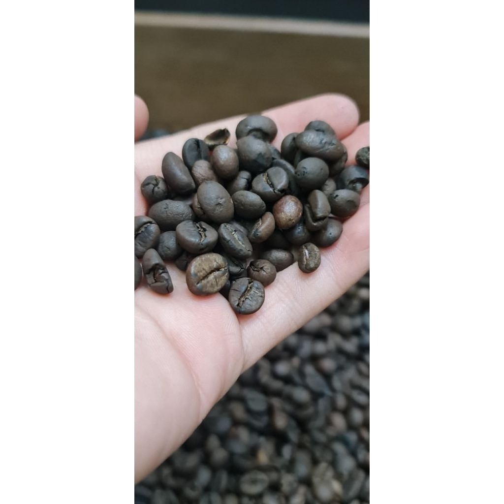 

ARABICA GAYO SINGLE ORIGIN (WHOLE BEAN)