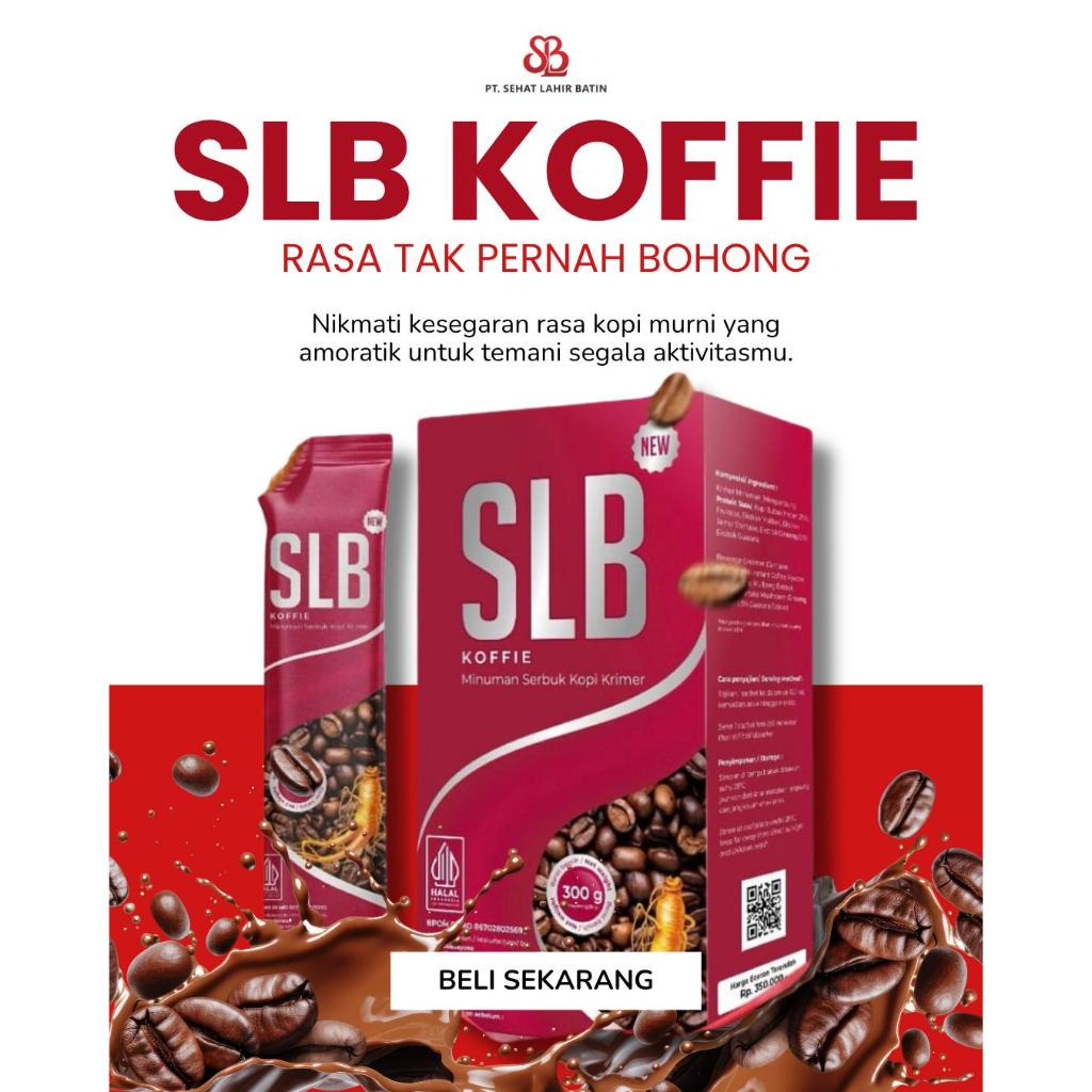 

SLB PAKET 1BOX