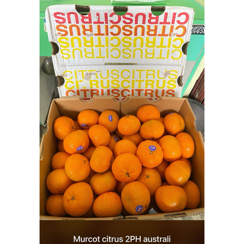 

JERUK MURCOT DUS CITRUS AFORER 2PH 1 DUS ASAM MANIS 9KG