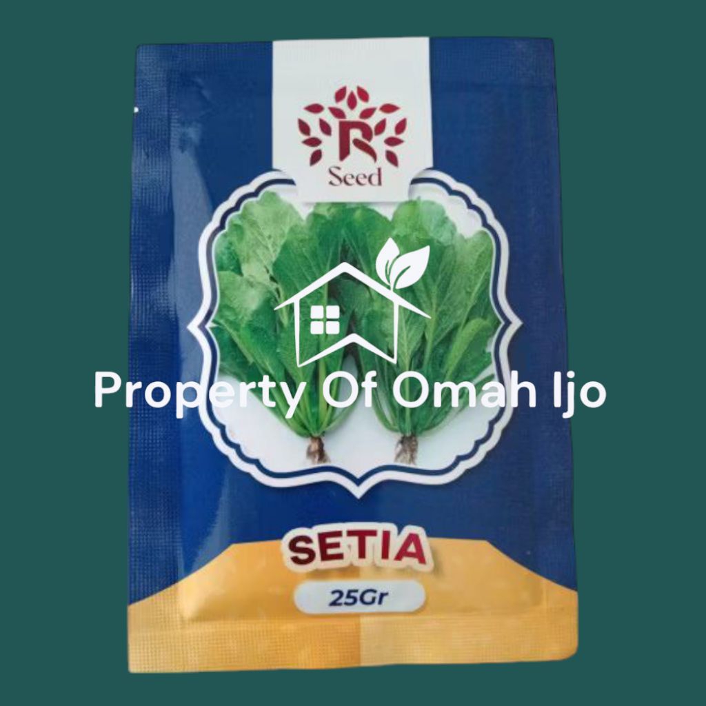 

Setia F1Benih Sawi Mie 25gr