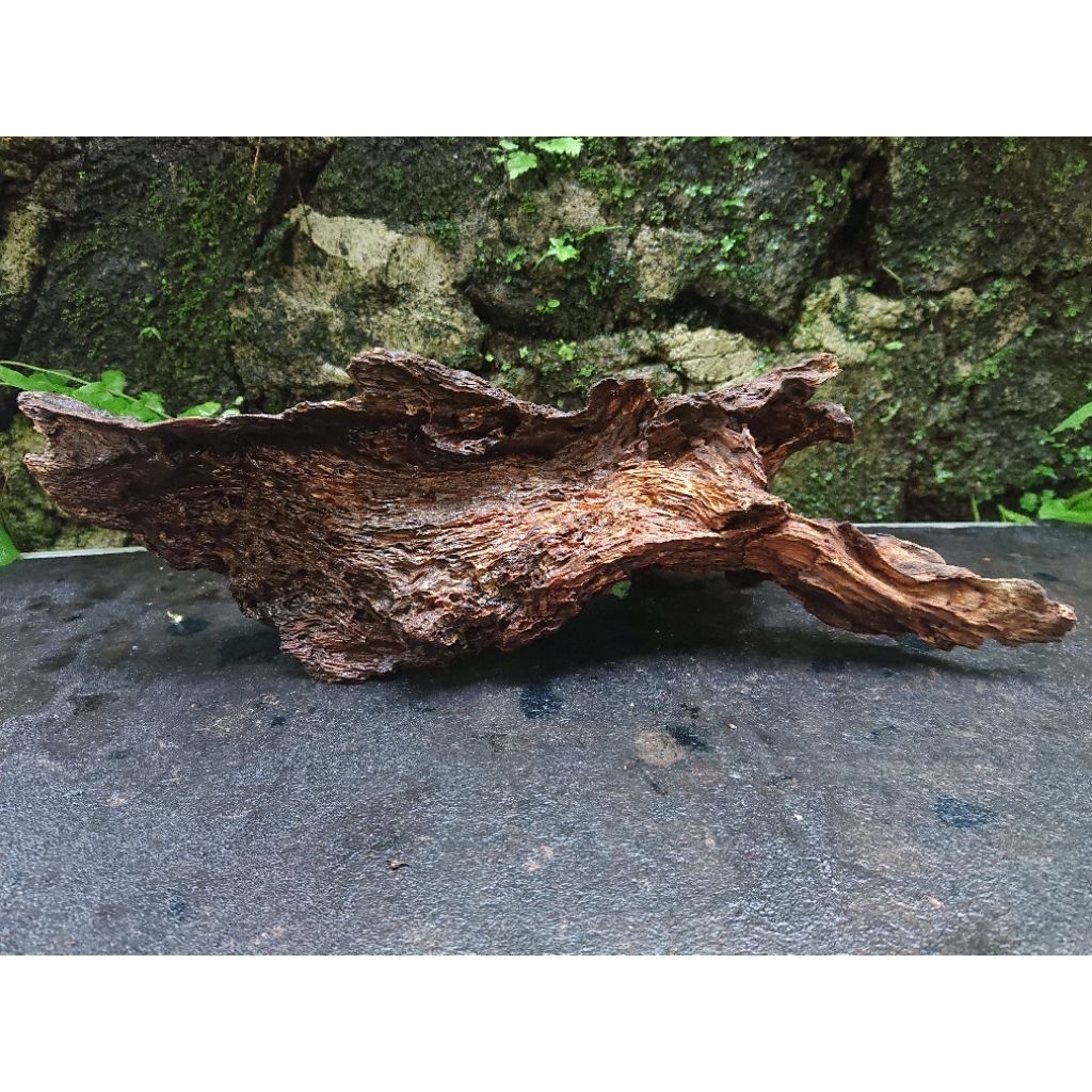 Pilih Model Rentek Kayu Aquascape Tenggelam Jumbo