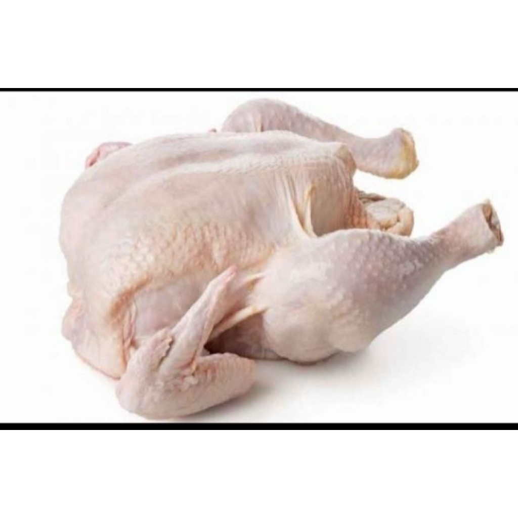 

ayamsegar