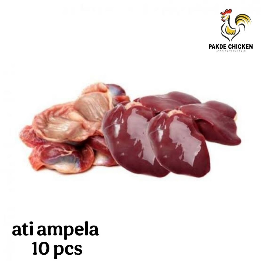 

ati ampela bersih 10 pcs