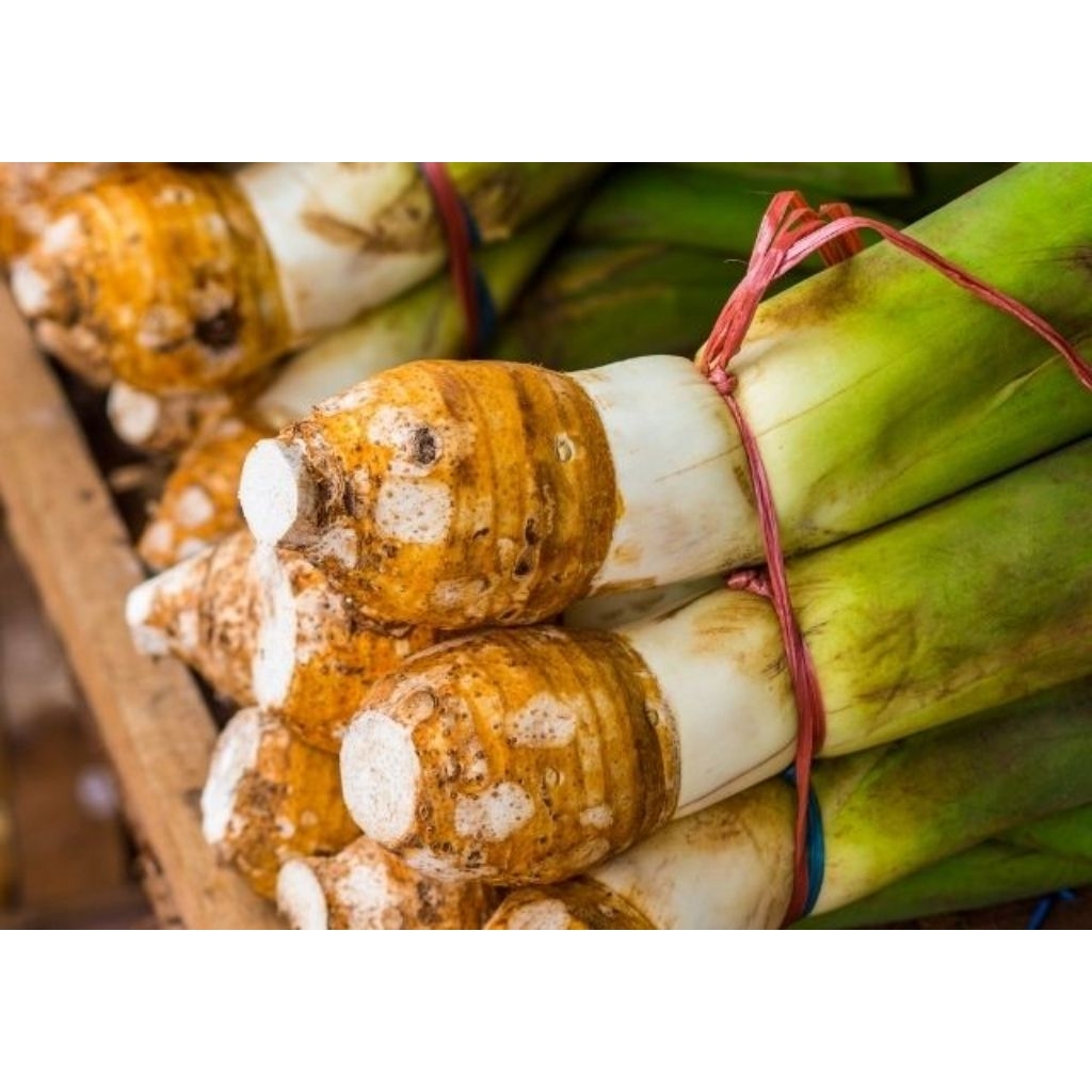 

Talas Lokal Olahan Petani