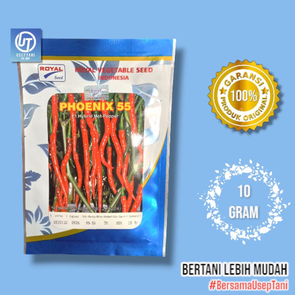 BENIH CABE PHOENIX 55 F1 10 GRAM ROYAL SEED