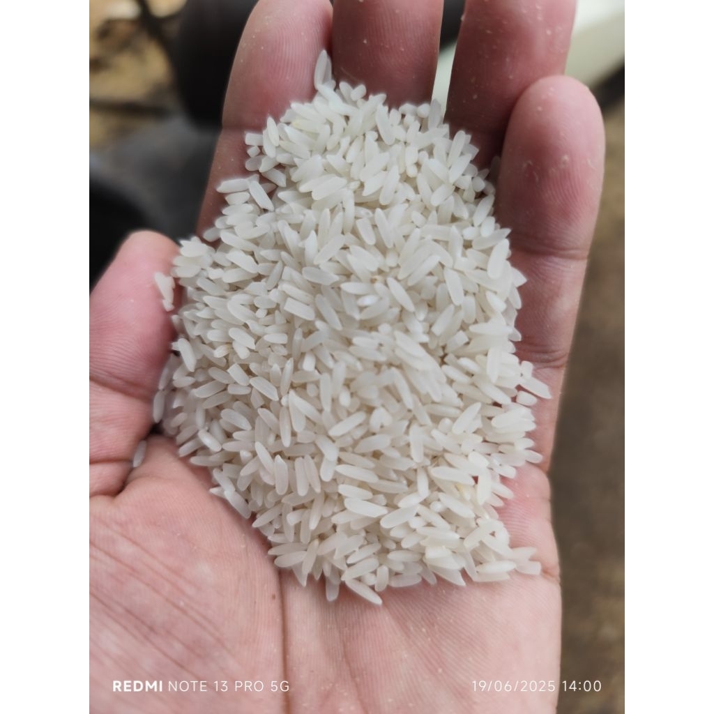 

1 Liter Beras Arjuna beras gambut karau produksi Banjarmasin