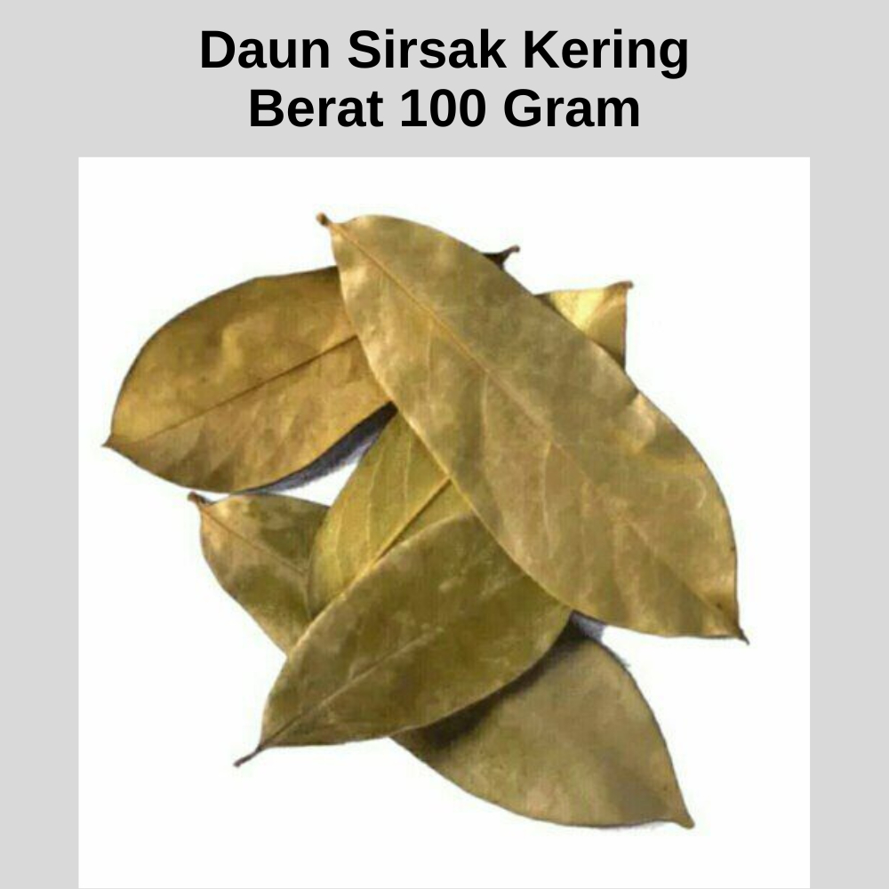 

Daun Sirsak Kering 100gr Asli Murni