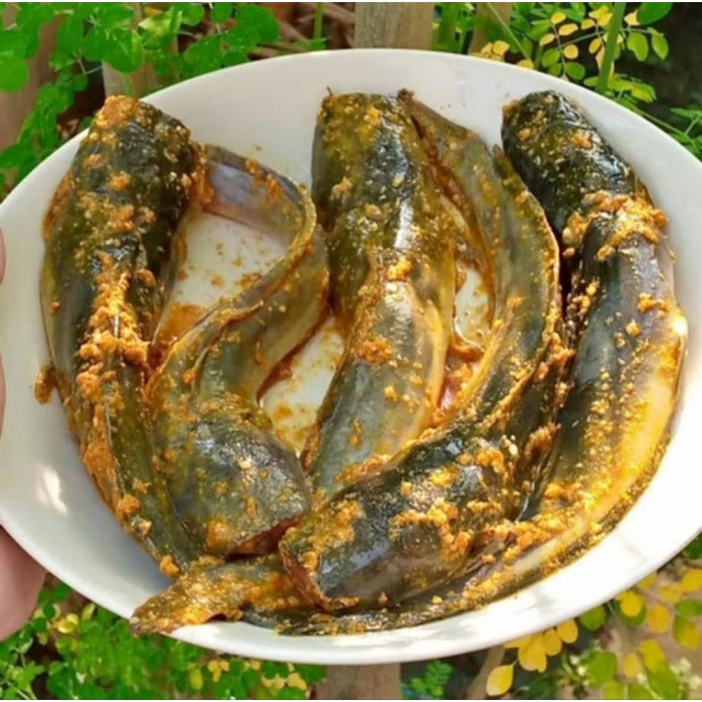 

(500gr) lele marinasi siap goreng