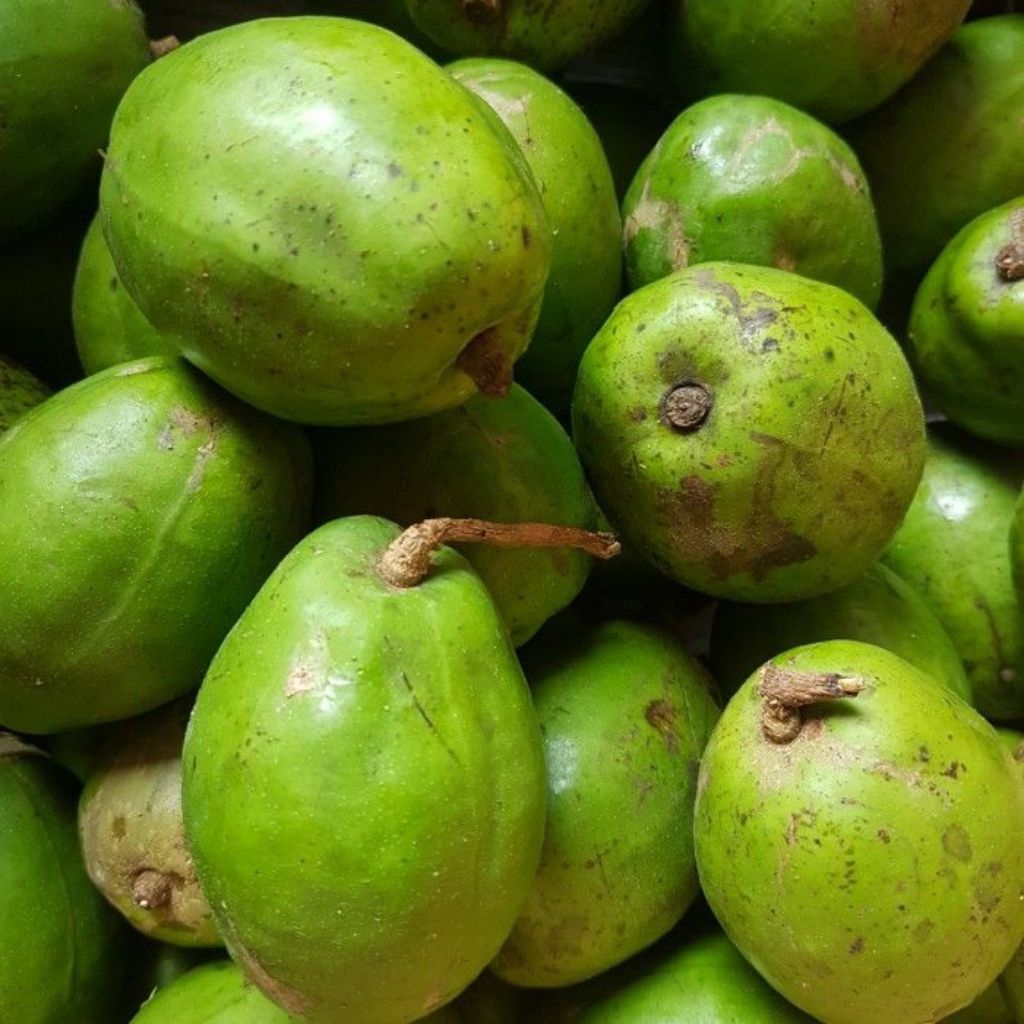 

Buah kedondong segar 1kg khas pangandaran