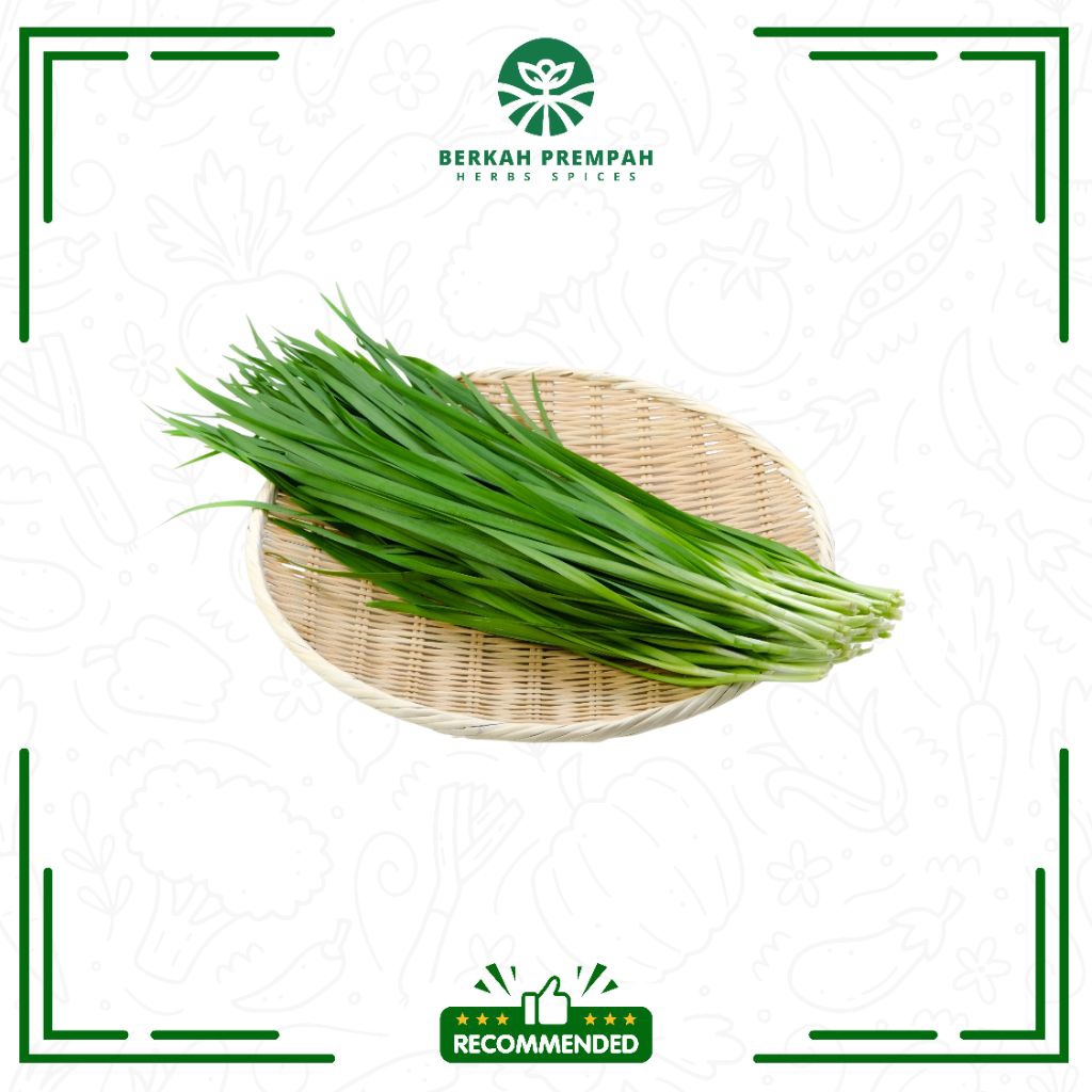 

Daun kucai segar - Berkahprempah