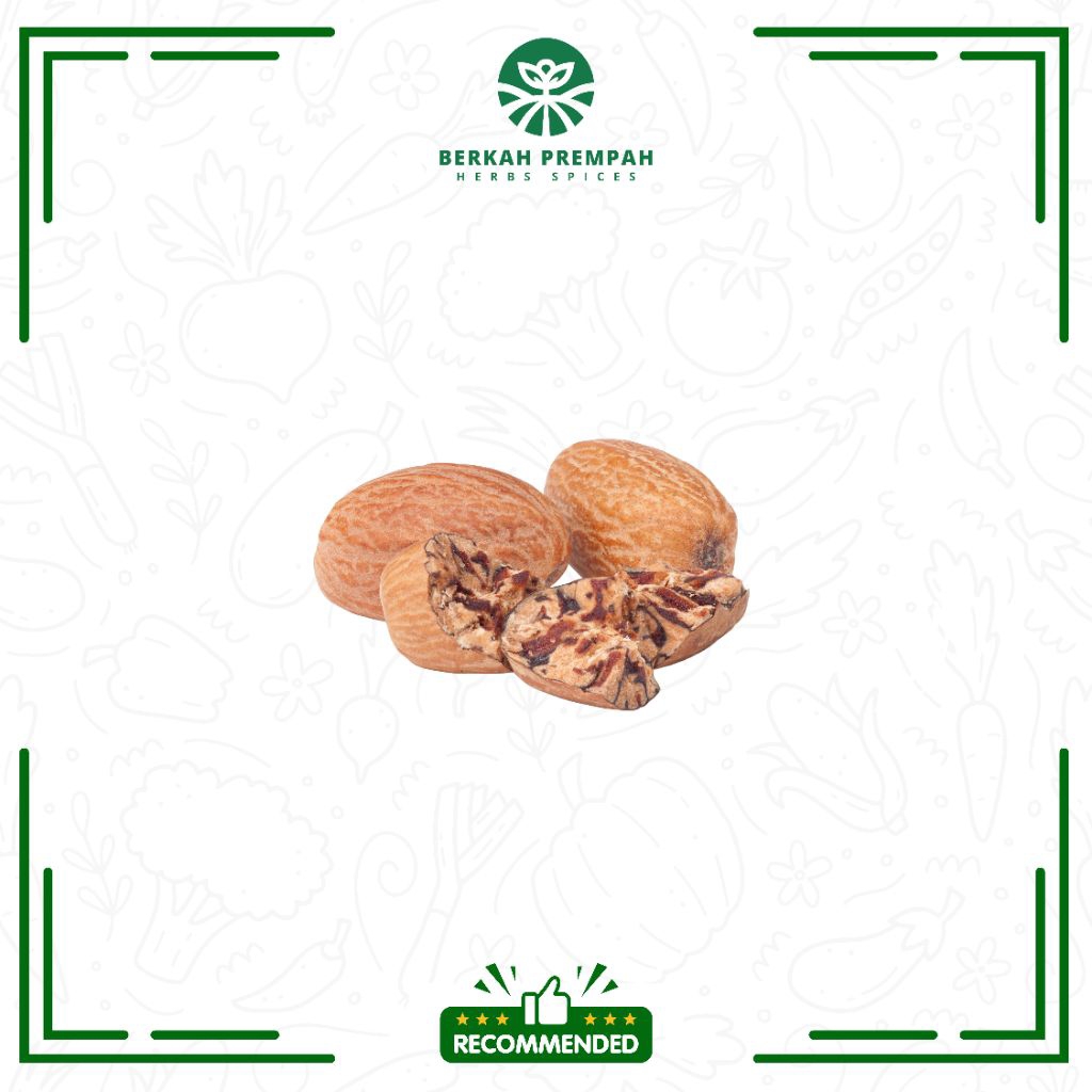 

Biji pala super lonjong - Berkahprempah