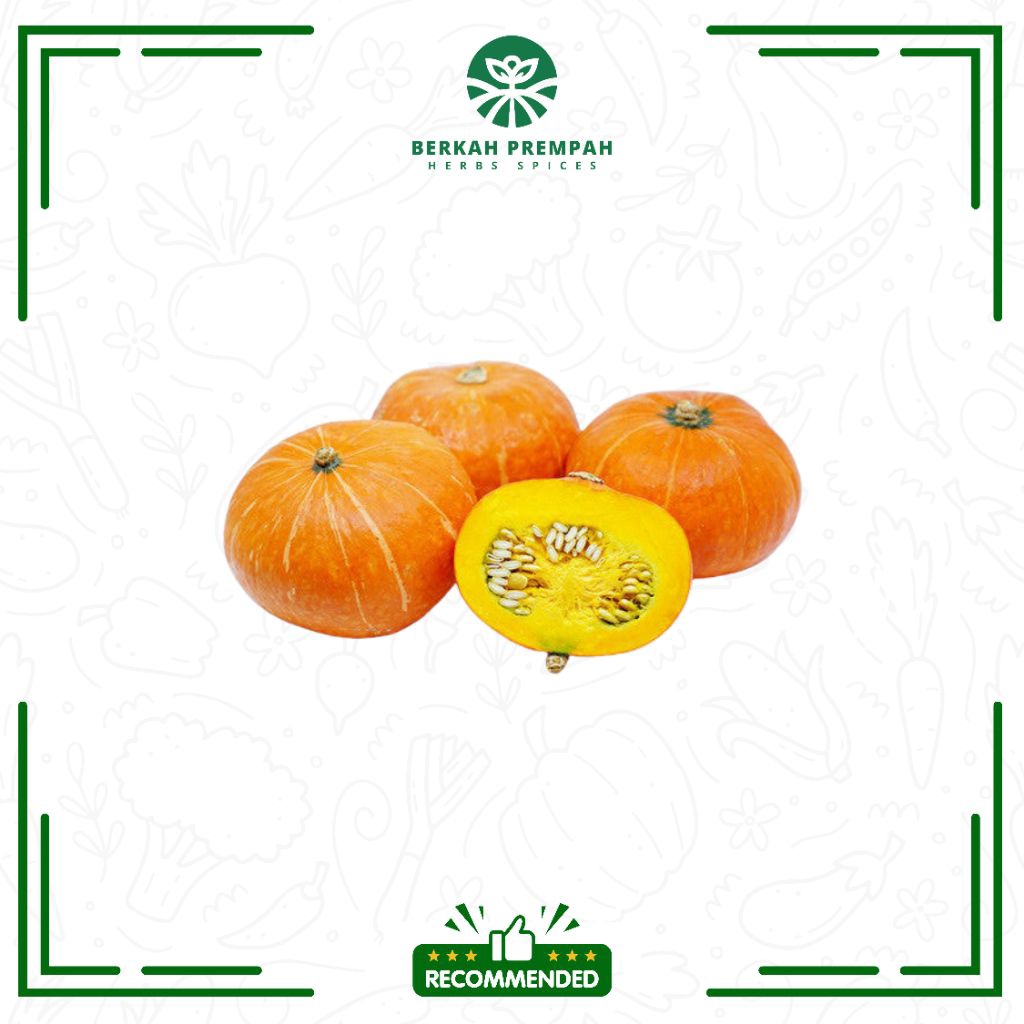 

Sayur labu kabocha / kaboca / Labu jepang segar ( 0,4 - 9/pcs ) - Berkahprempah