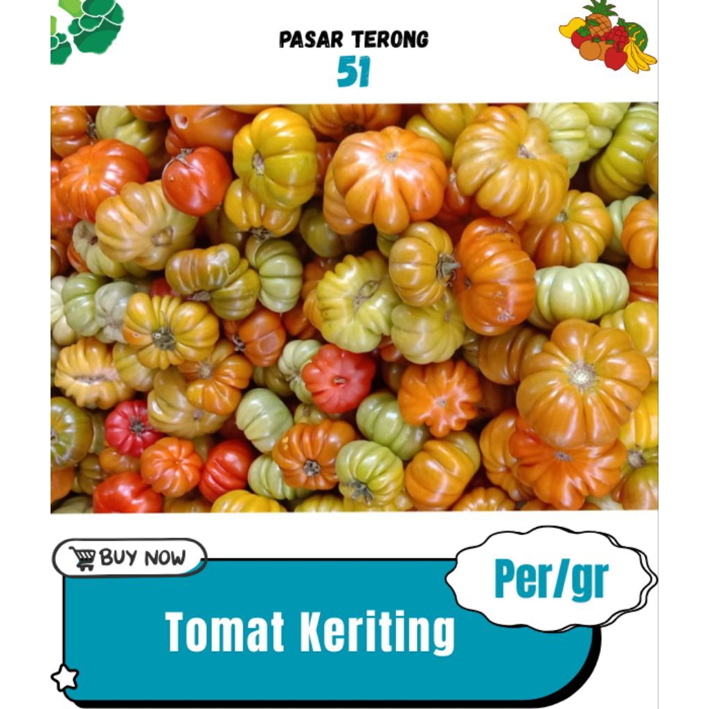 

Tomat Keriting Makassar