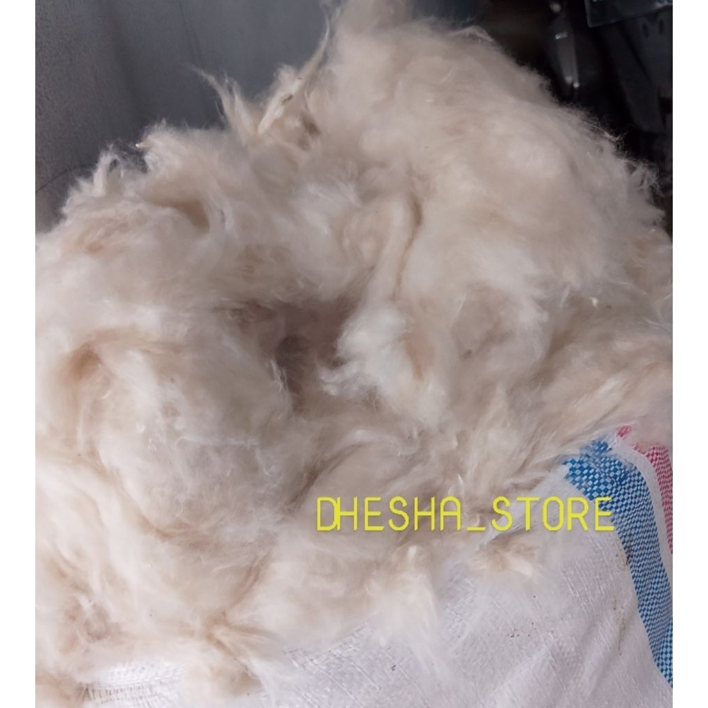 KEMASAN 1 KG KAPUK RANDU GRADE A ASLI MURNI TANPA CAMPURAN PUTIH BERSIH TANPA BIJI DAN MENGEMBANG AN