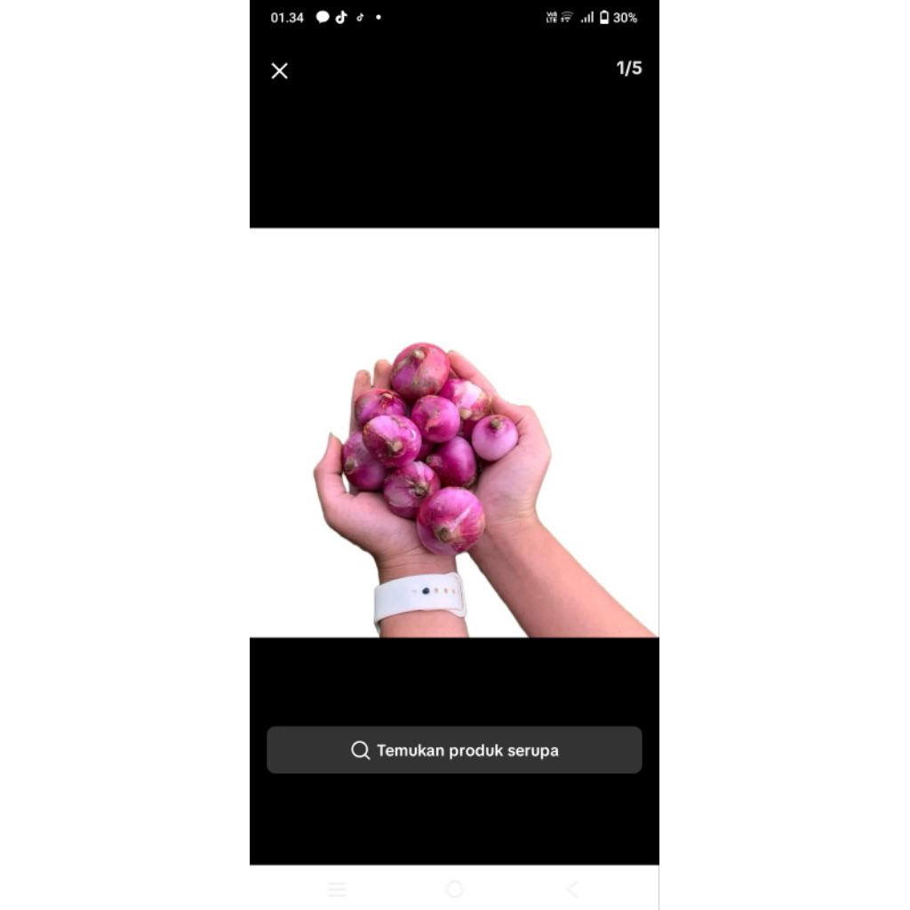 

bawang merah asli brebes