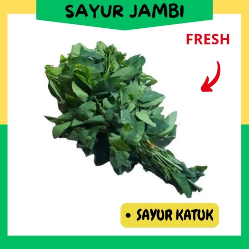 

INSTAN Sayur Daun Katuk/ikat~sayurjambi