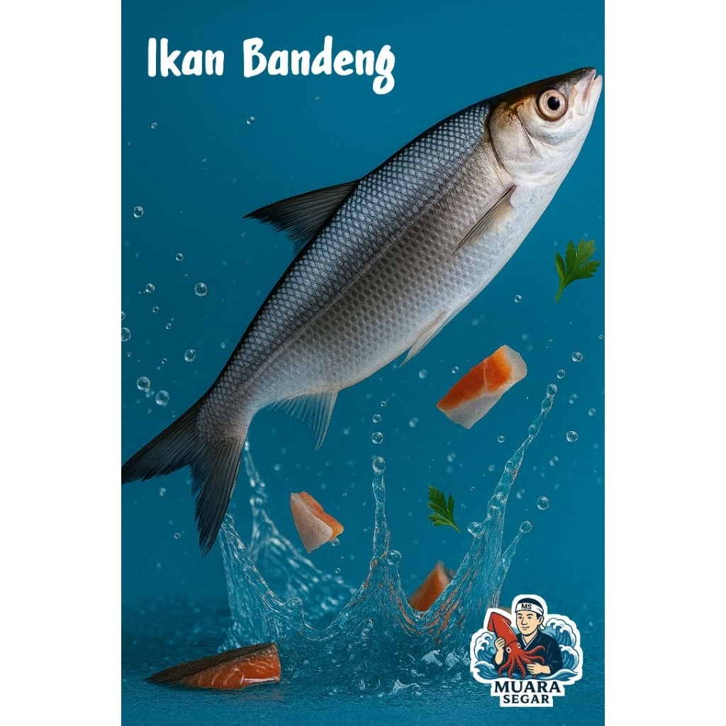 

Ikan Bandeng Segar Ukuran Besar | 700gr–1kg/Ekor
