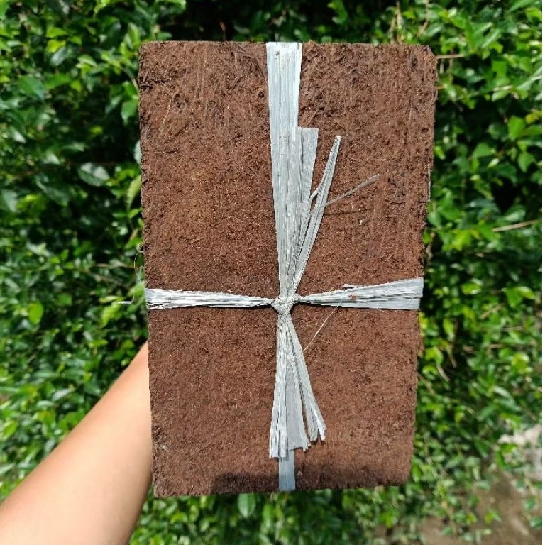 Baymarkeet Papan Pakis Besar 10Pcs Pakis Lempeng / Akar Pakis / Media Tanaman Anggrek / Pakis Kotak