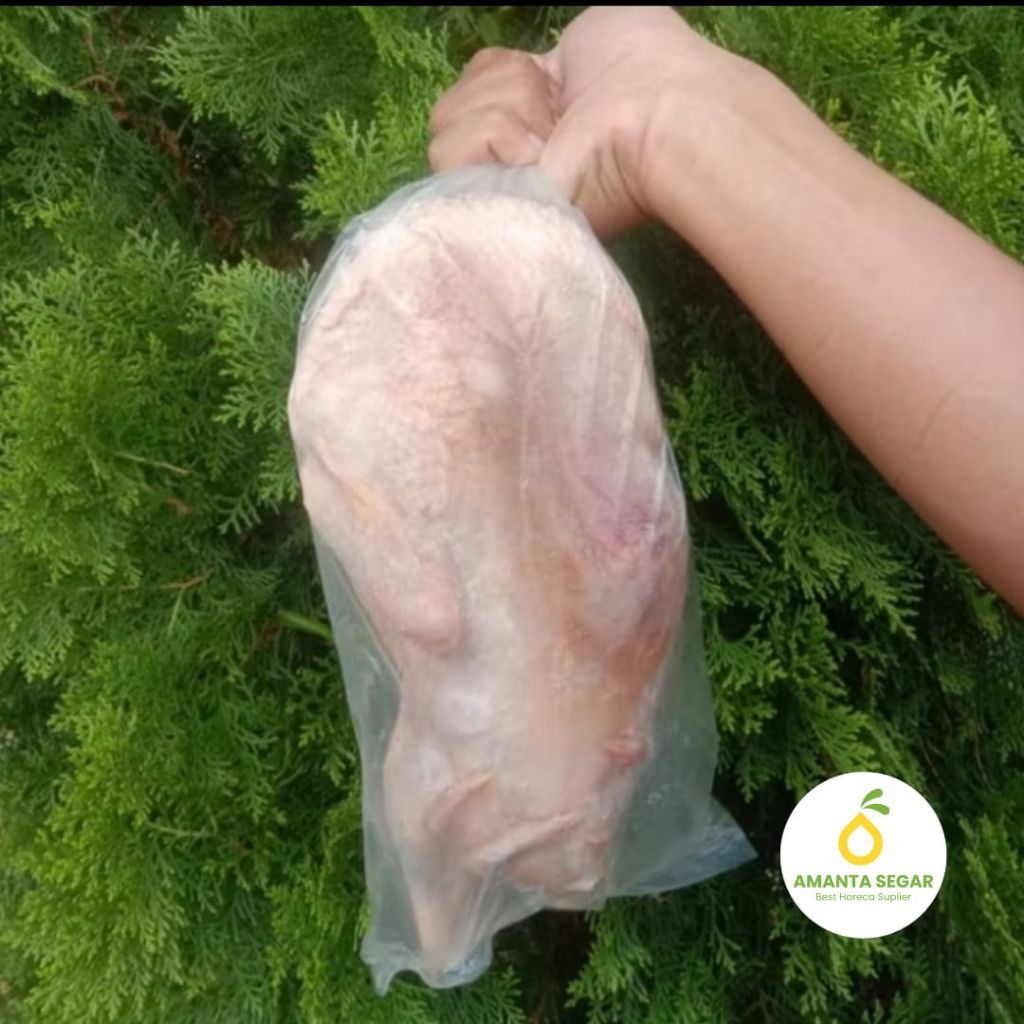 

Amanta Segar Bogor | Daging Bebek Premium Freshly Frozen Beku Utuh 1 Kg Amanta Segar