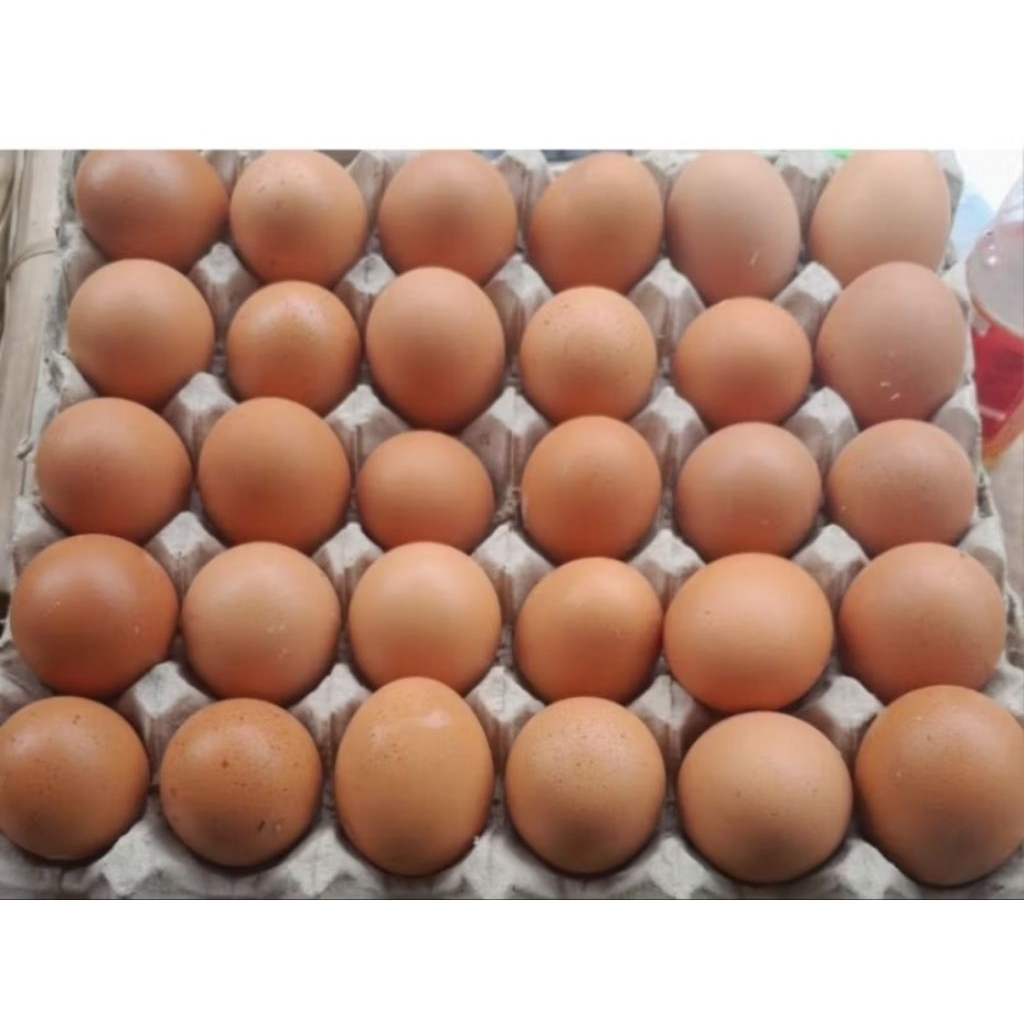 

Telor Ayam 1kg ( Only Instan/grab)