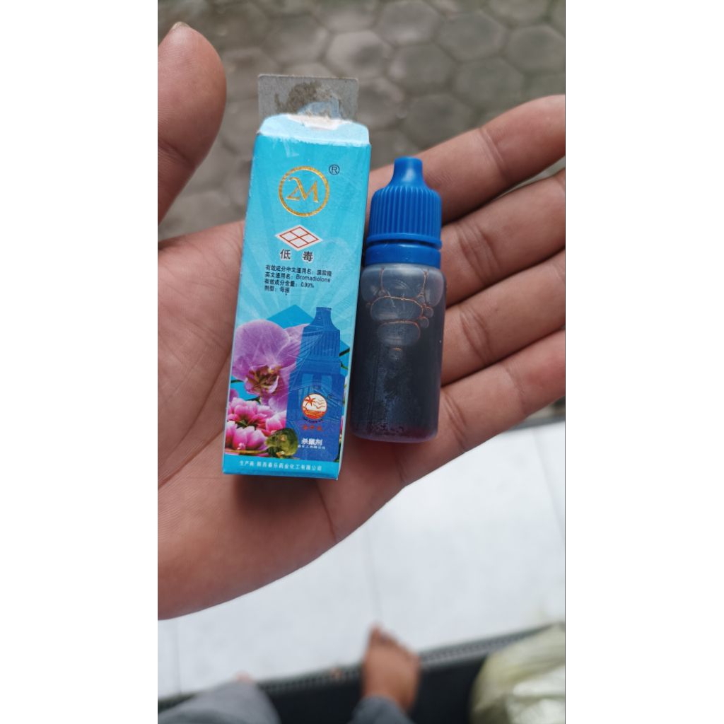 RACUN TIKUS ampuh mati diTEMPAT
