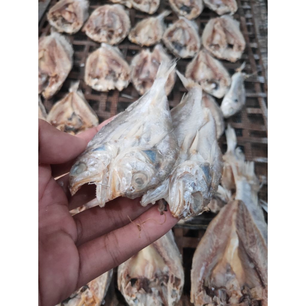 

IKAN ASIN BELAH CAMPUR ( IKAN TIDAK SEJENIS) KEMASAN 1KG