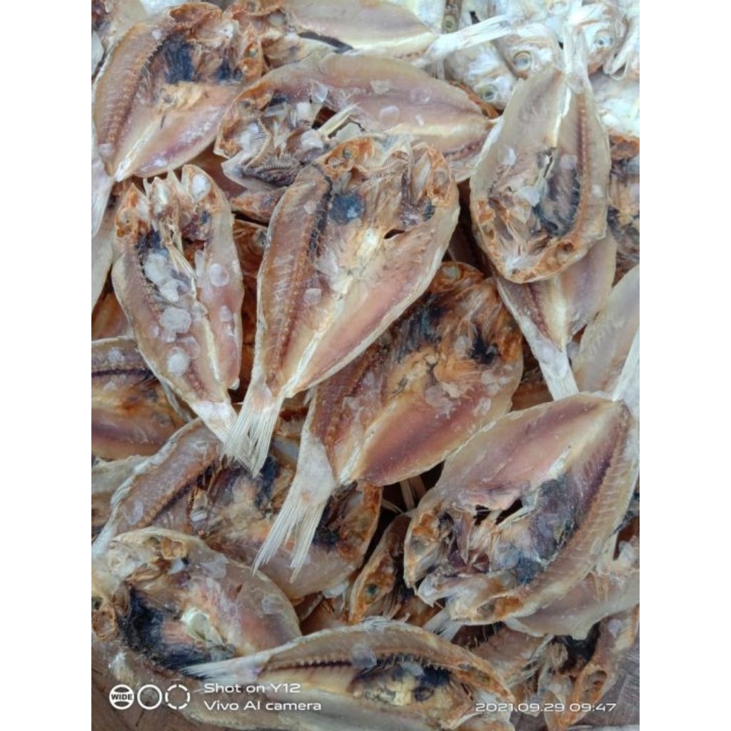 

IKAN ASIN IKAN KERING IKAN CAKALAN