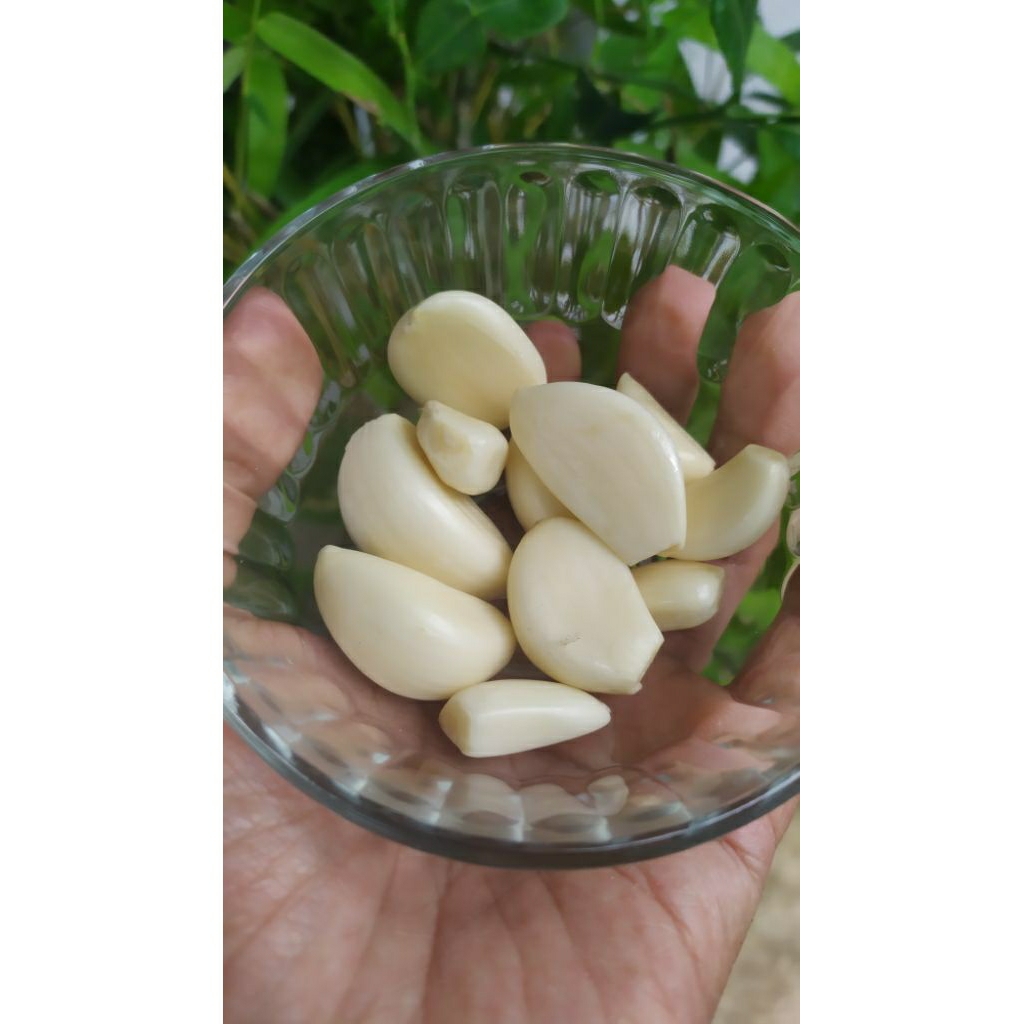 

Bawang Putih Kupas Segar 100 gram