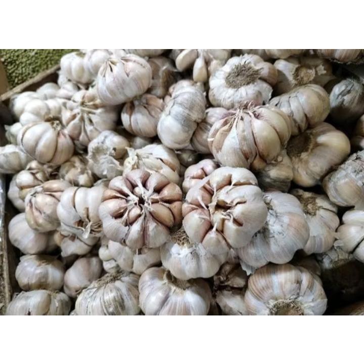 

Bawang Putih biasa 250 Gr / bawang putih promo/ bawang putih murah