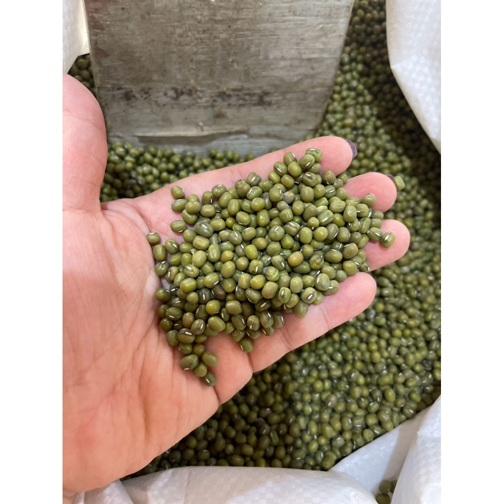 

kacang hijau lembut