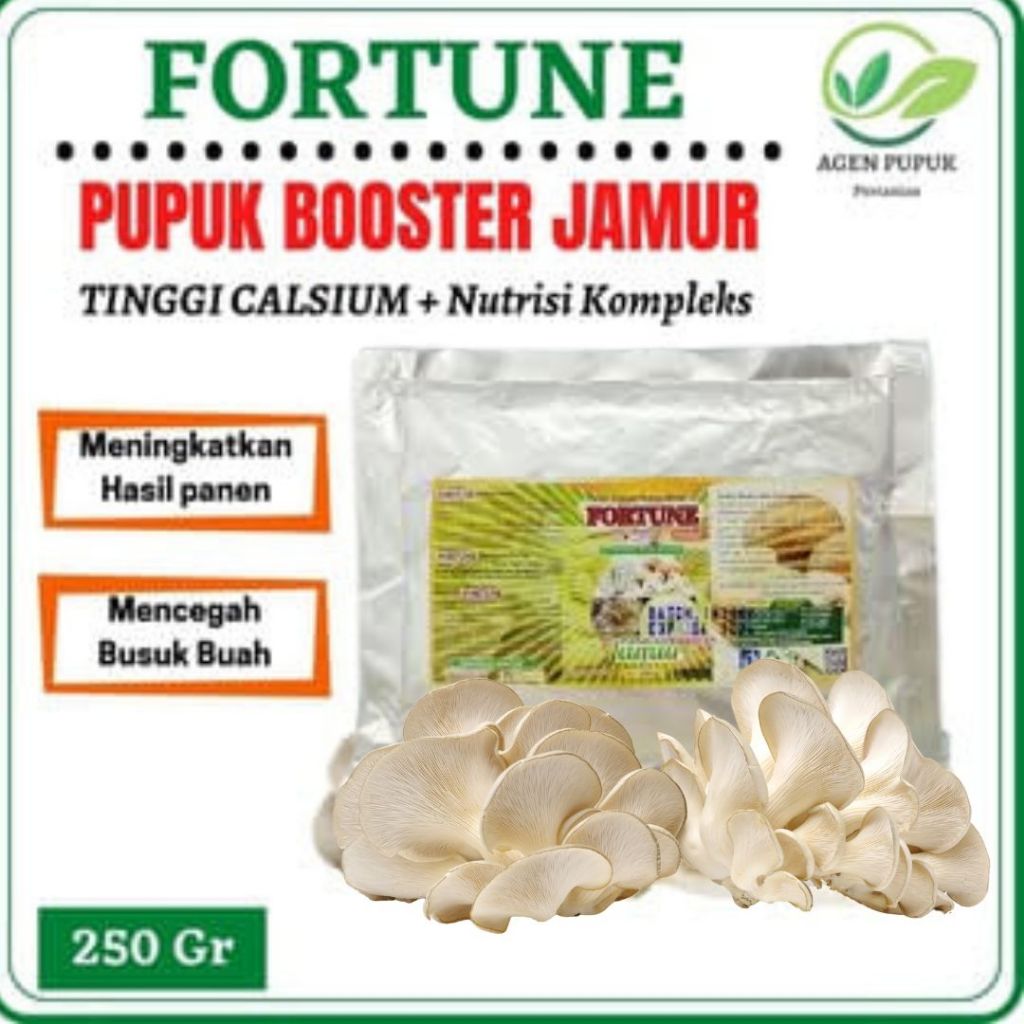 BOOSTER JAMUR Anti Rontok, Pupuk Organik Budidaya Jamur Tiram, Nutrisi Penyubur Jamur Tiram Kuping