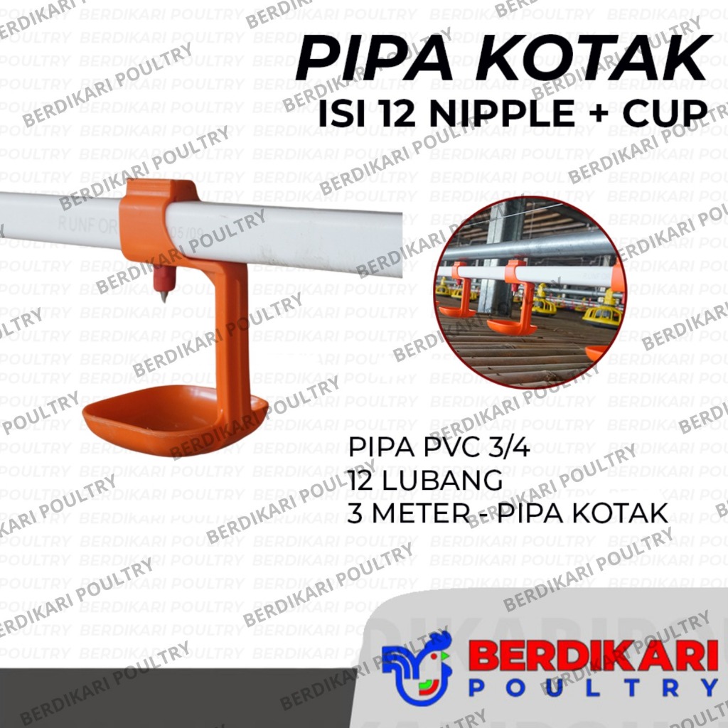 Pipa Kotak Plus Nipple 3/4 12 Lubang - Pipa/Paralon Kotak Nipple/Nipel/Napel/Nipple/Niple Ayam - Ala