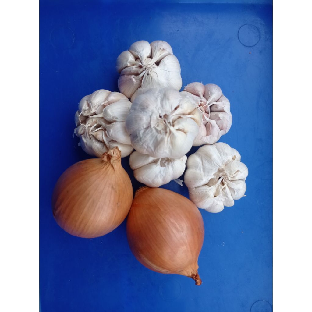 

Paket Mix Bawang putih dan Bawang bombai