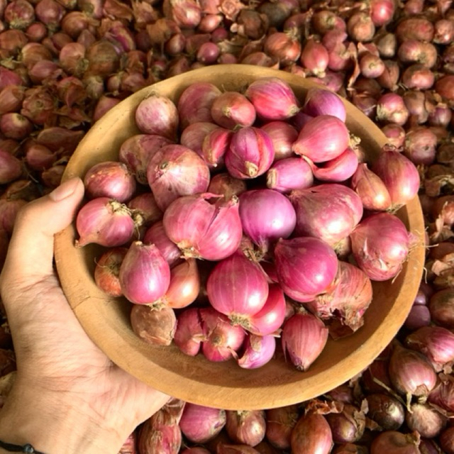 

(Bima Super) Bawang Merah Bamer Murah Berkualitas Termurah Pedas