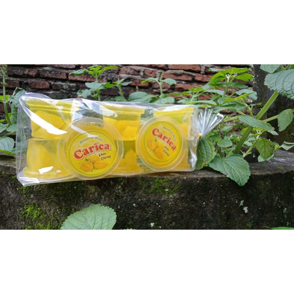 

CARICA khas wonosobo isi 12 cup gula 100% asli