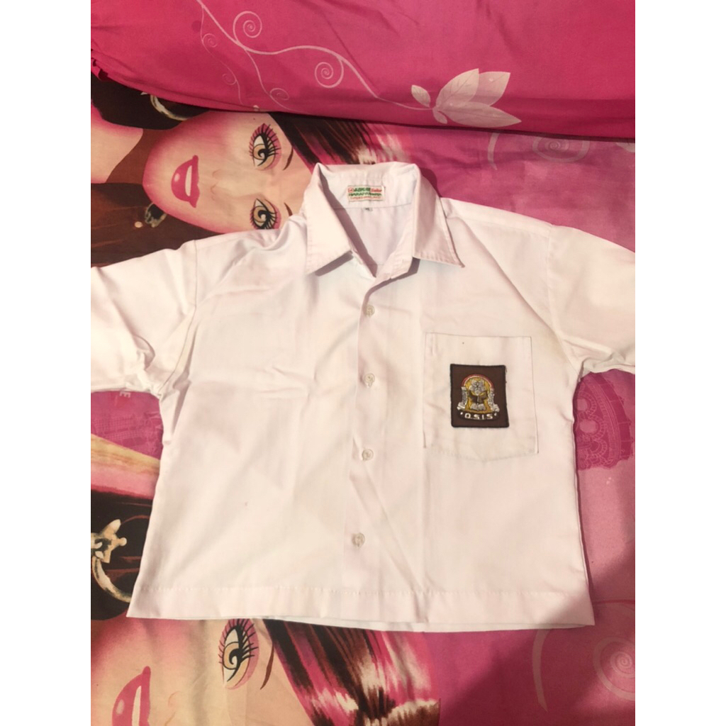 baju seragam crop putih sma lengan panjang
