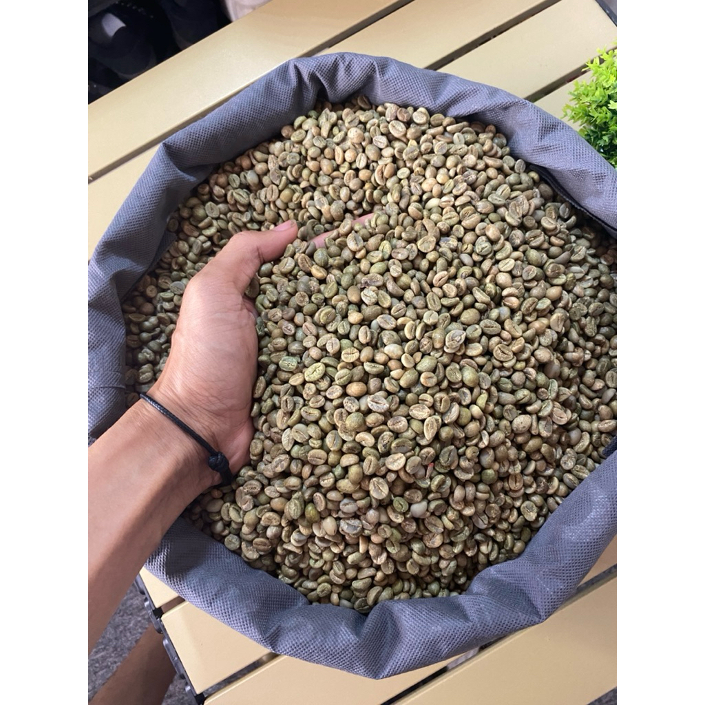 

GREEN BEANS HONEY PROSES KADAR AIR 13%