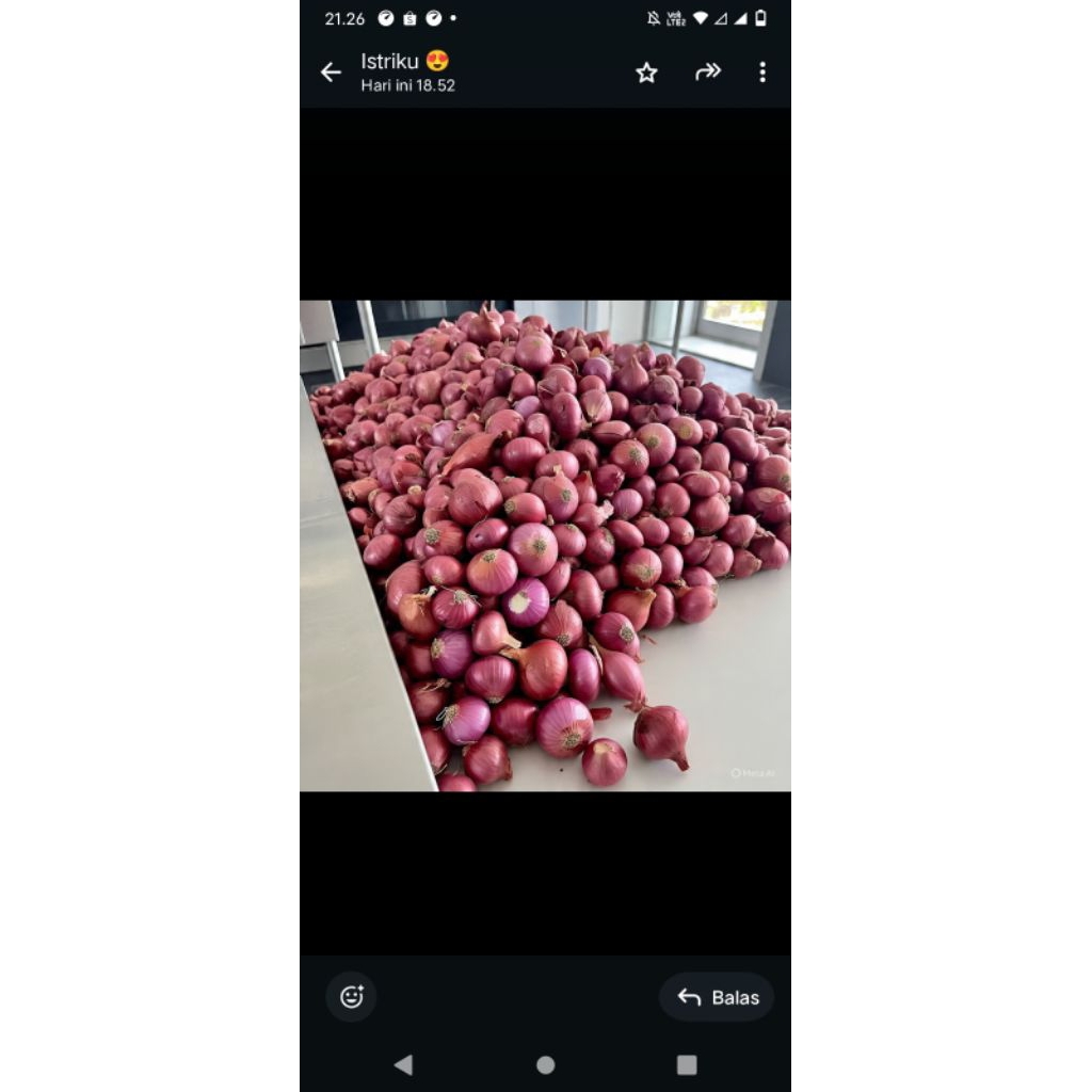 

bawang merah lokal ( Demak ) campur