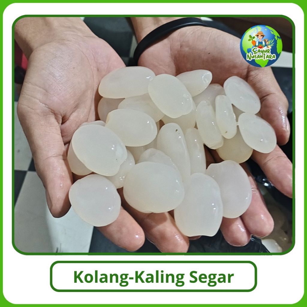 

Kolang-kaling Segar/Kolang-kaling Fresh [1000g] bisa Cod Mungil-mungil termurah