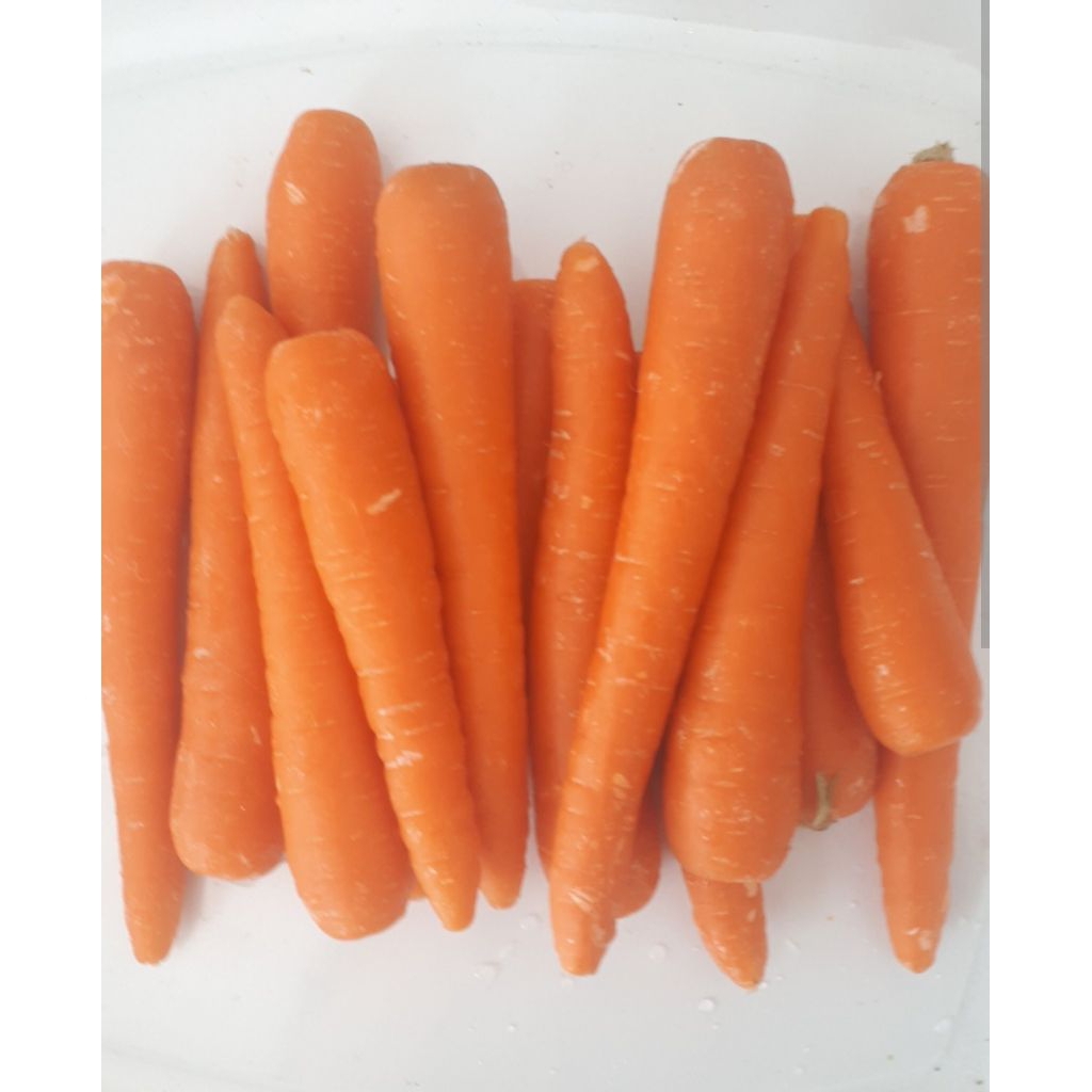 

WORTEL SEGAR FRESH 1KG s/d 5kg