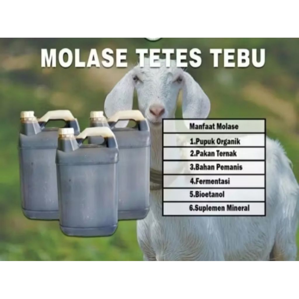 molase tebu tetes tebu 5kg